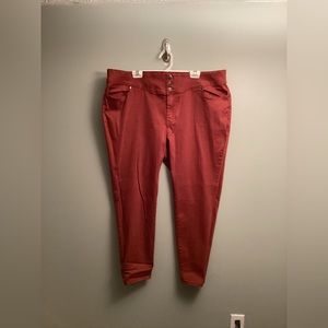 Lane Bryant Burnt Orange Jeggings